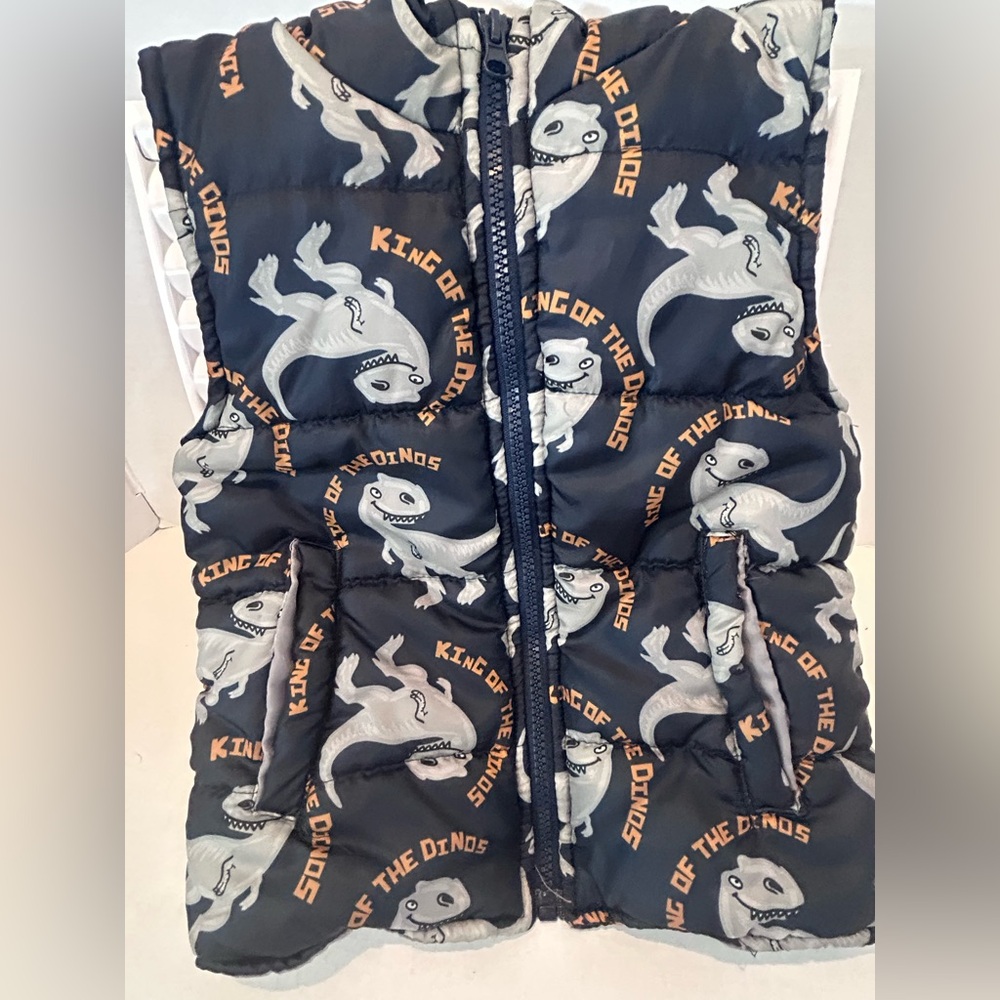 Dinosaur Puffer Vest - Black with Gray Dino Print